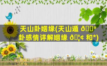 天山卦姻缘(天山遁 💮 卦感情详解姻缘 🦢 和*
)